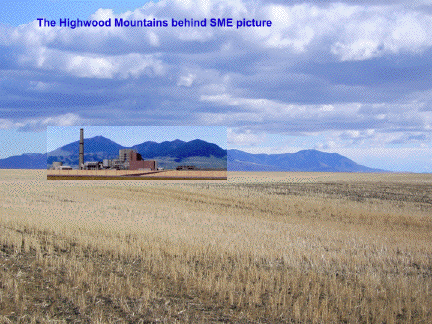 plant_and_mountains
