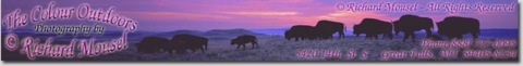 bisontop_1_-1020x130
