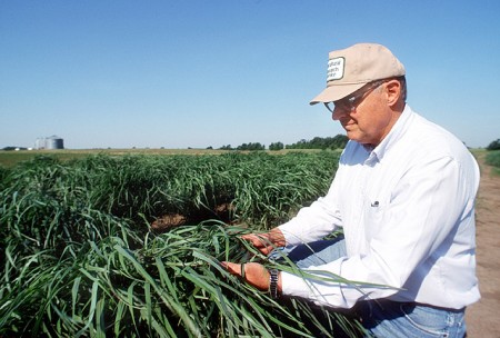ARS-geneticist-Ken-Vogel-450x304