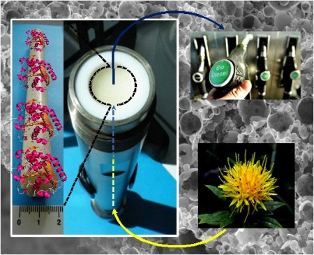 Biodiesel-Continuous-Flow-Catalyst-450x365