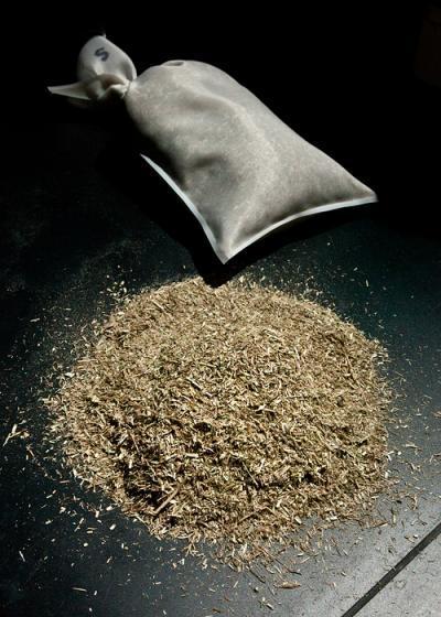 Ruminant-Insertion-Bag